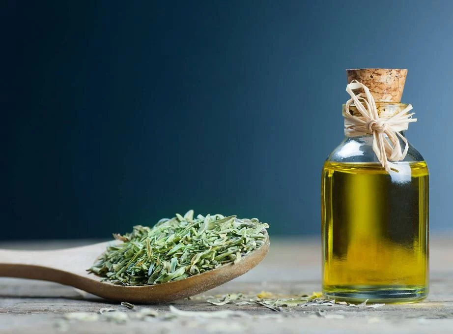 Combate infecciones con este milagroso aceite de orégano casero: Cómo prepararlo 1 Moncloa Así puedes preparar aceite de orégano para combatir infecciones