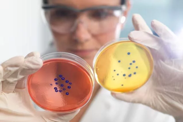 Estrategias efectivas para evitar la resistencia a los antibióticos 2 Moncloa Las medidas que pueden evitar resistencia a los antibióticos