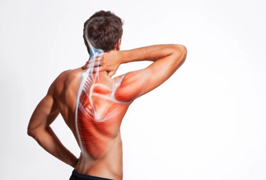 Si experimentas estos síntomas estás bebiendo agua en exceso y podrías arruinar tu cuerpo 1 Moncloa ¿Por qué los espasmos musculares son uno de los síntomas de la hiperhidratación?