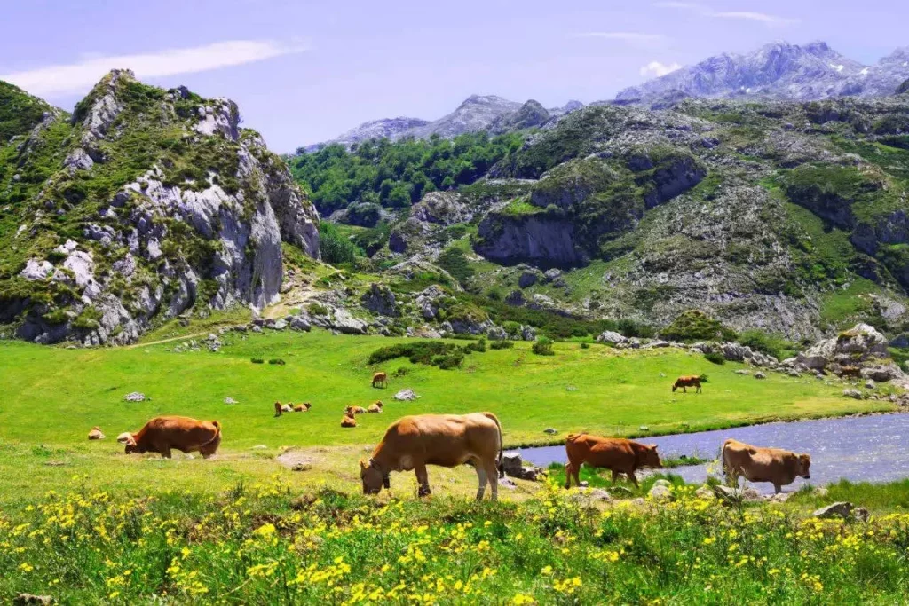 Turistas se quejan en un destino soñado de España: "36 euros tirados, un día para olvidar" 2 Moncloa Qué ver en los Lagos de Covadonga