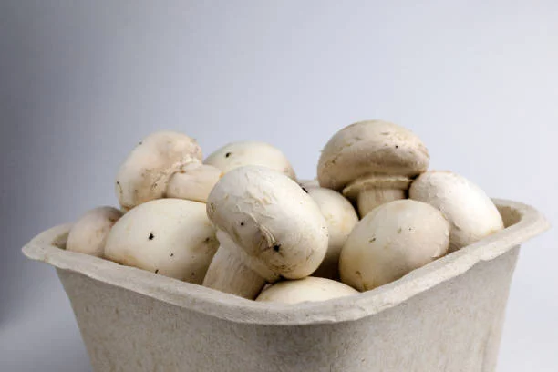 Ingredientes simples para unos champiñones rellenos