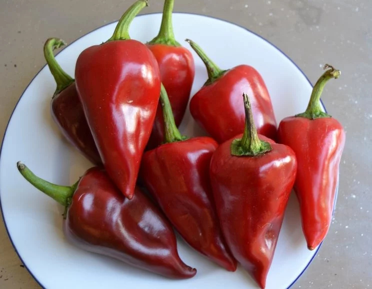 Piquillos rellenos rápidos y fáciles en 10 minutos con Thermomix 1 Moncloa Ingredientes clave para unos piquillos rellenos