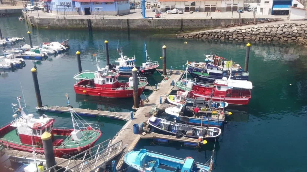 EuropaPress 1736658 podemos pide junta estrategia consensuada sector pesquero reparto cuotas Moncloa