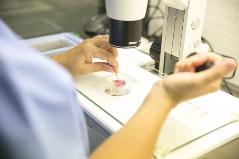 Inseminación artificial y fecundación in Vitro en Málaga: Opciones de reproducción asistida para cumplir tu sueño