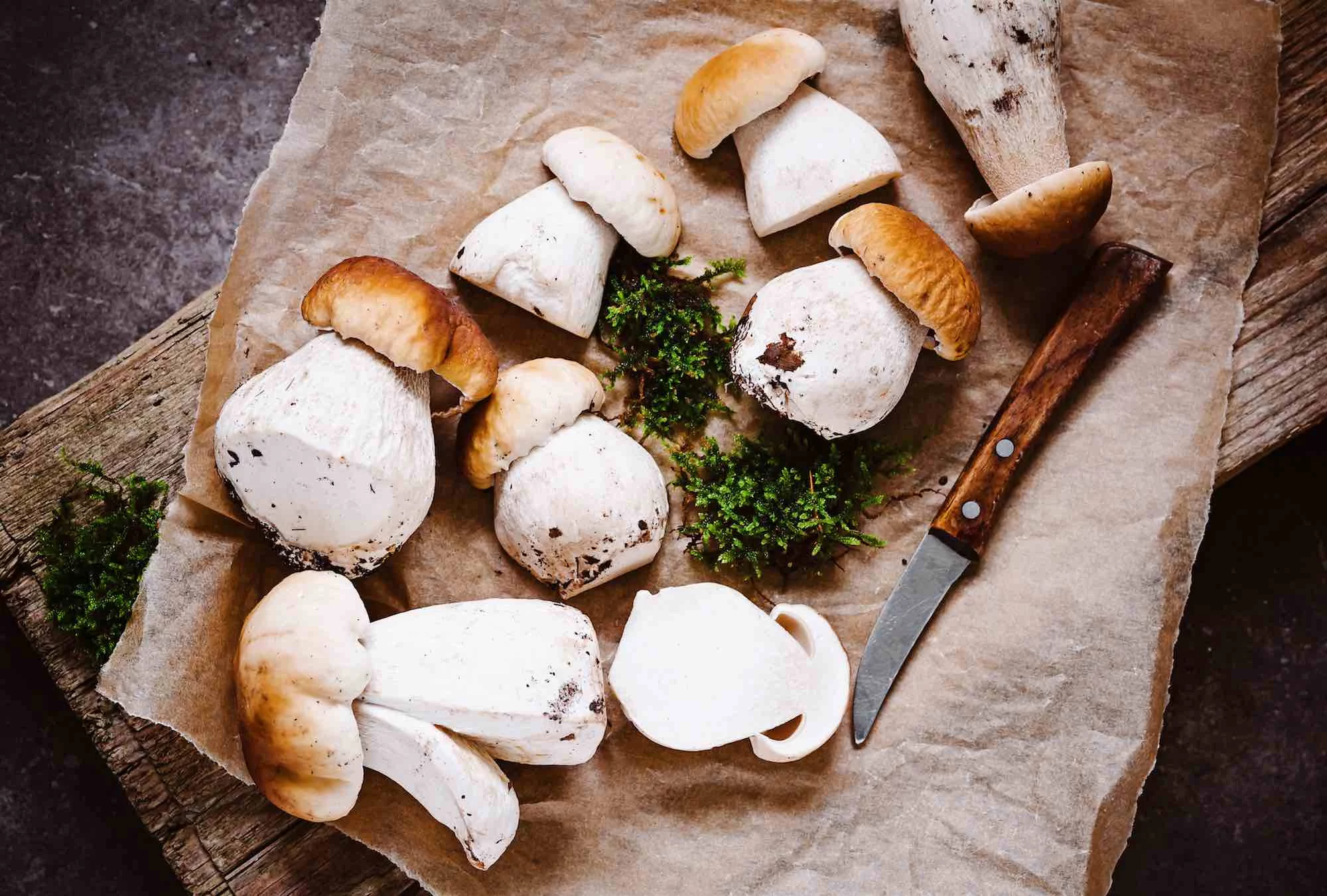 Boletus al ajillo, la receta económica y deliciosa para despedir la temporada de setas 1 Moncloa INGREDIENTES FRESCOS Y SABROSOS PARA LOS BOLETUS AL AJILLO