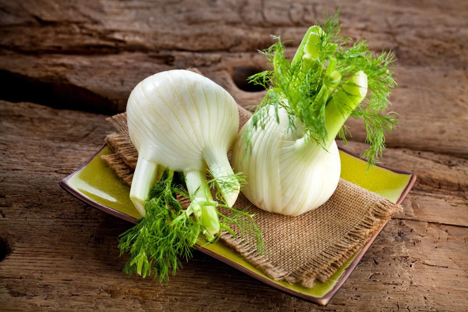 El secreto natural para una barriga plana está en este batido fácil de hacer 2 Moncloa EL HINOJO: UN ALIADO PARA LA DIGESTIÓN