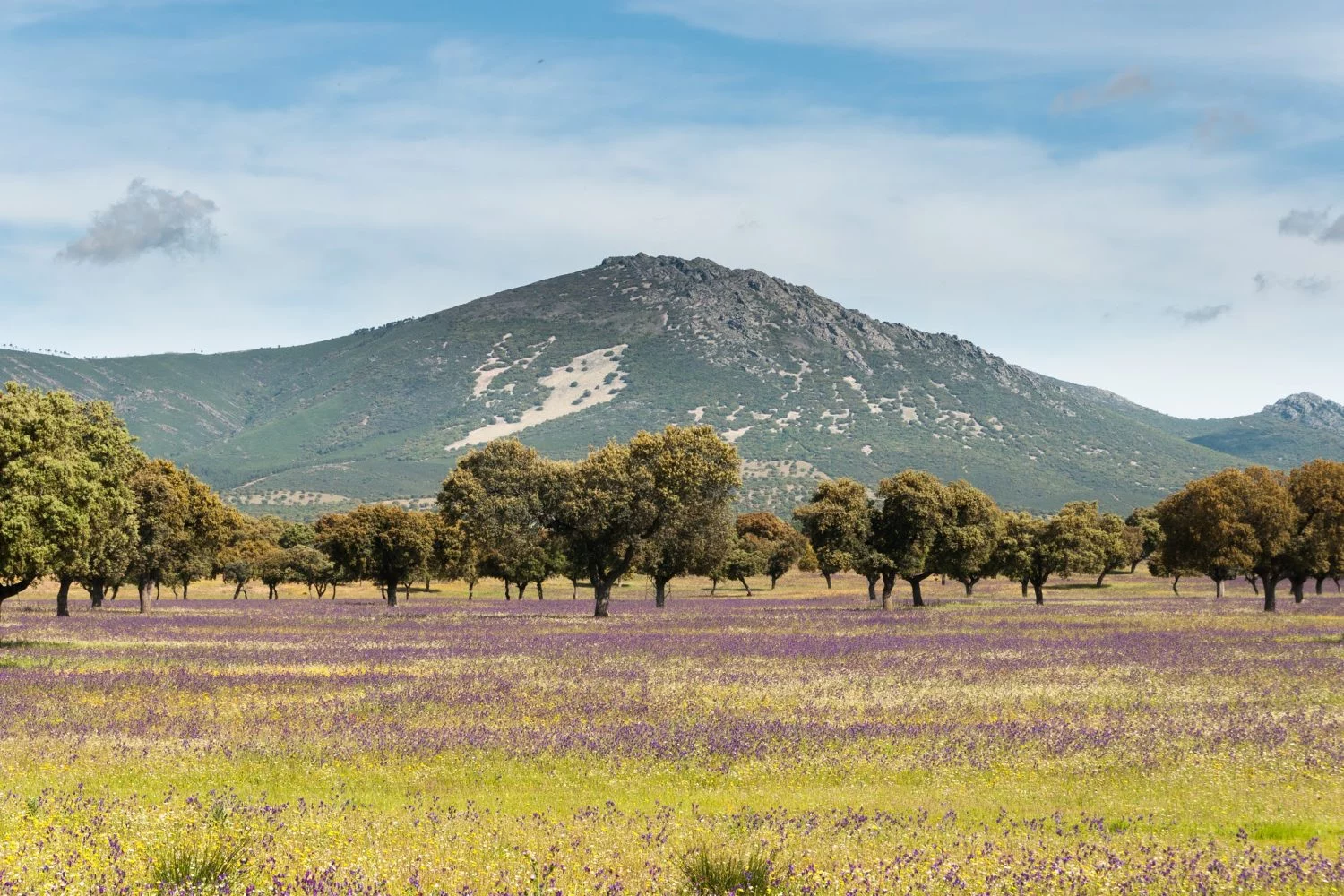  PARQUE NACIONAL DE CABAÑERES