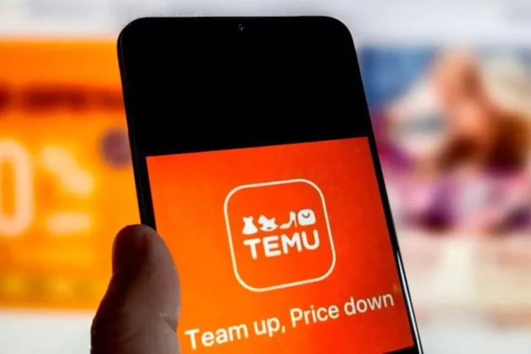 La multa de 200 millones a Temu: lo que Bruselas ha descubierto sobre la venta de productos ilegales