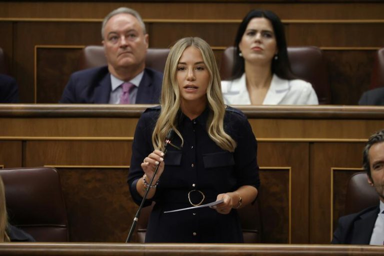 Núñez (PP) afirma que en el PSOE de Madrid se promocionan las «conductas delictivas»: «Es la zona cero del sanchismo»