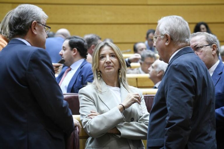 El PP denuncia «ocultación y dejadez» del Gobierno ante un posible fraude de 163 millones en mascarillas libres de IVA