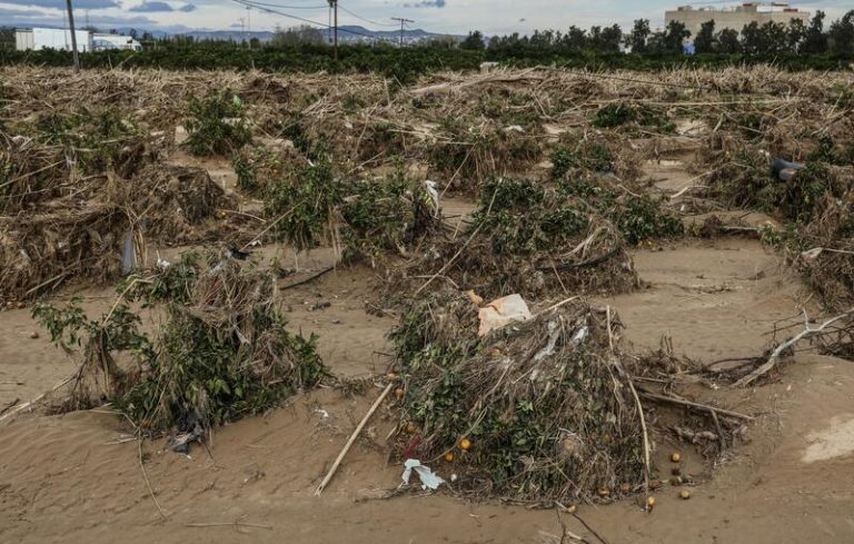 Bruselas destina 68 millones de euros a agricultores españoles por los daños ocasionados por la sequía y la DANA