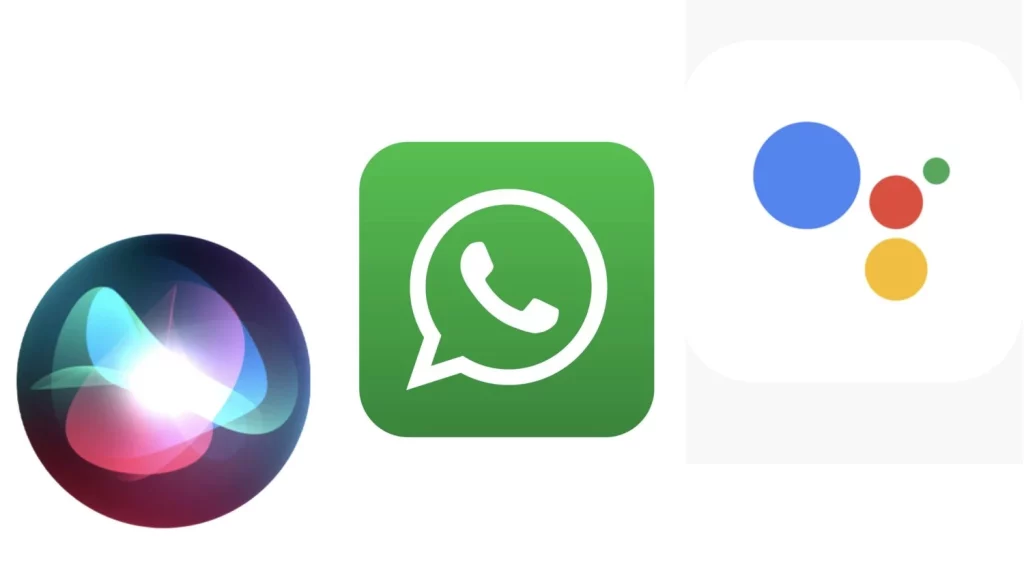 WhatsApp omite las lenguas cooficiales españolas en su última actualización 1 Moncloa Siri Whatssap y google Assistant Moncloa