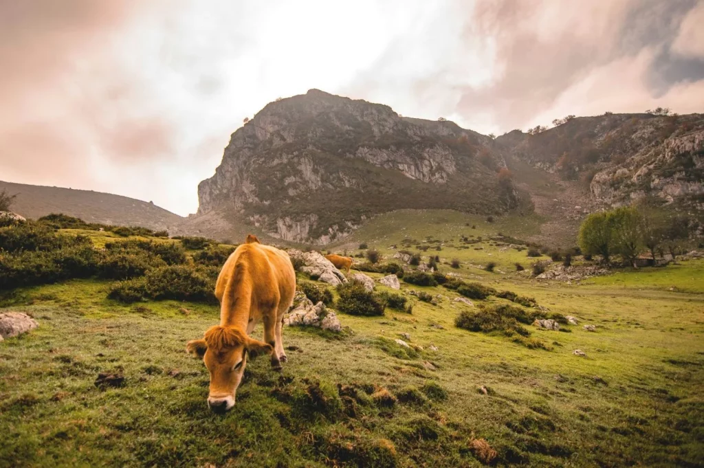 Asturias