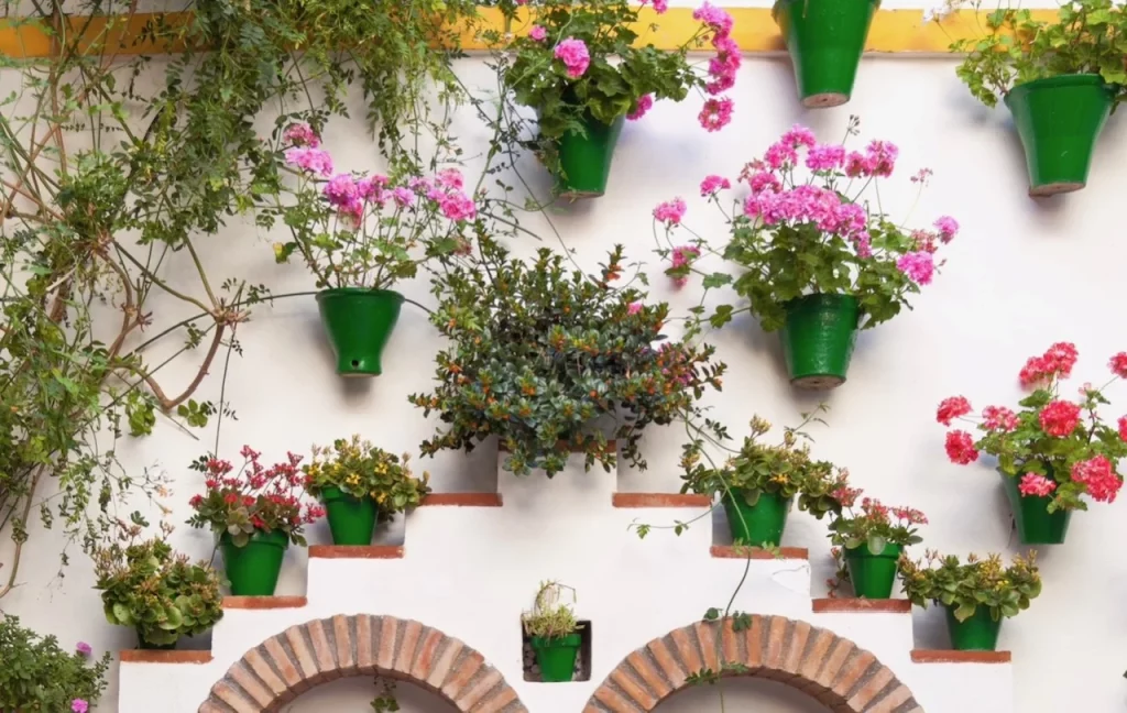 Los patios de Córdoba que puedes visitar todo el año para disfrutar de su encanto 13 Moncloa image0 52 Moncloa