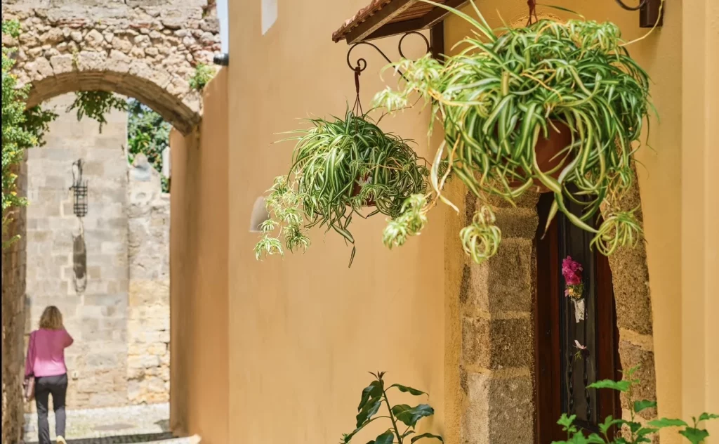 Los patios de Córdoba que puedes visitar todo el año para disfrutar de su encanto 11 Moncloa Córdoba