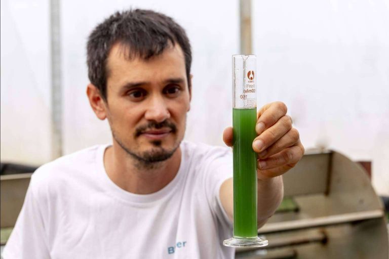 Blauver presenta su espirulina fresca como un producto clave en la alimentación del futuro