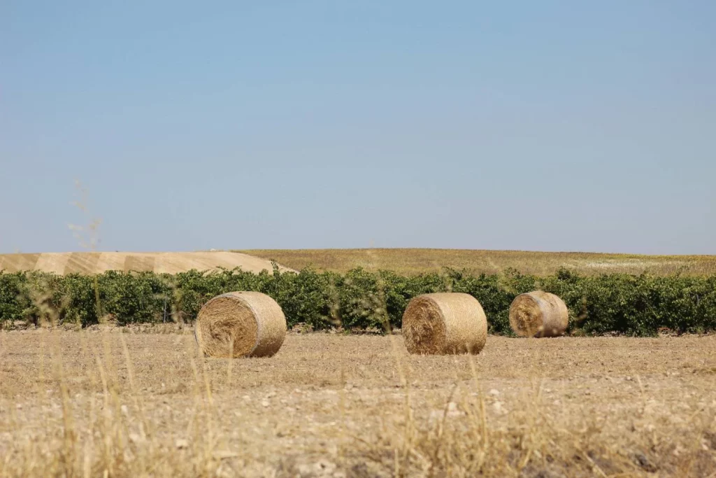 Fomentar la natalidad: la situación en algunos pueblos de España 