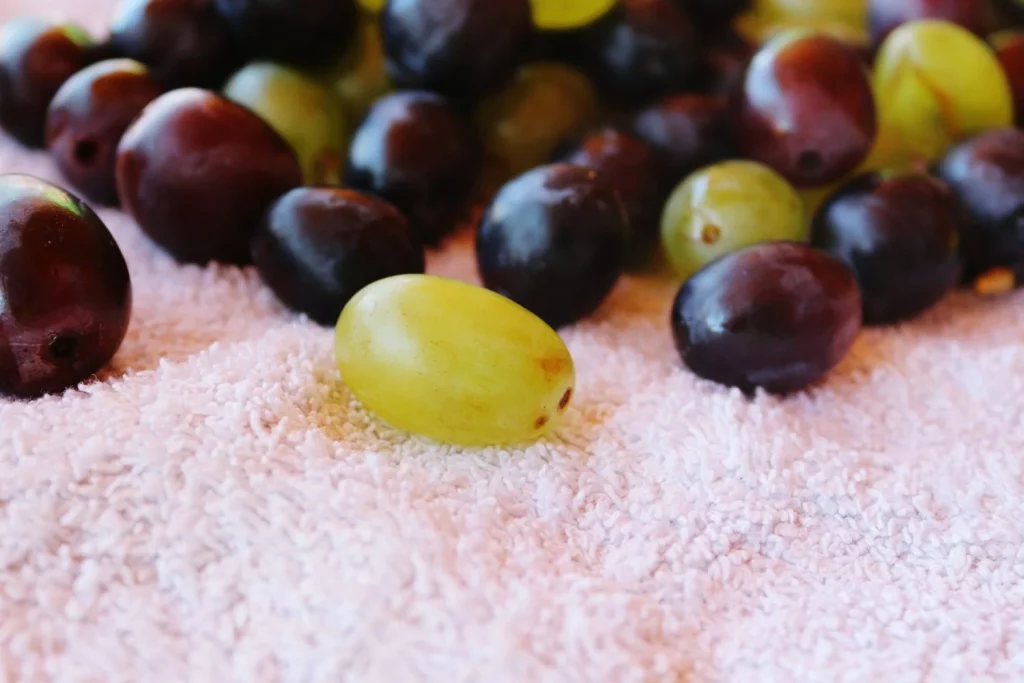 No todas las frutas son buenas: estas no tienen ningún beneficio y las consumes todos los días 13 Moncloa UVA SIN SEMILLAS: DULCE, PERO CARGADA DE AZÚCAR