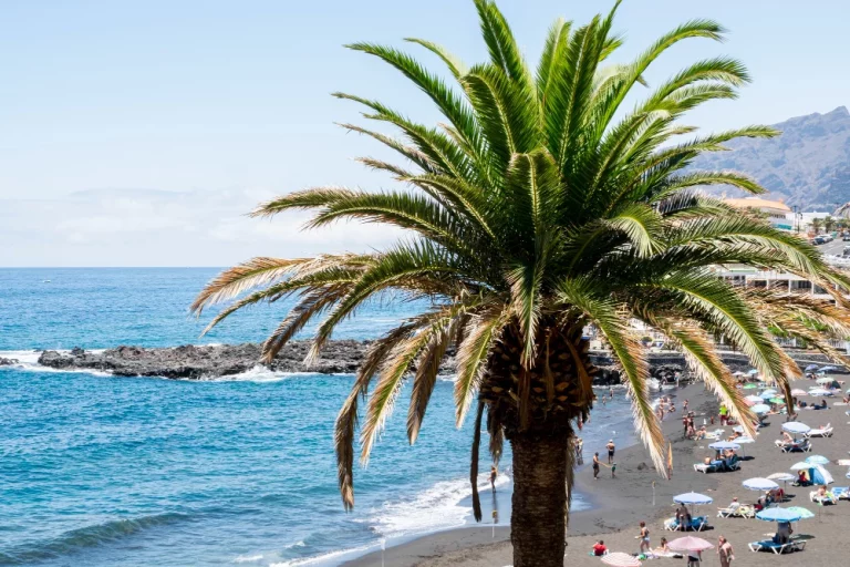 Forbes la pone en el mapa a la ciudad española que arrasa entre los mejores destinos