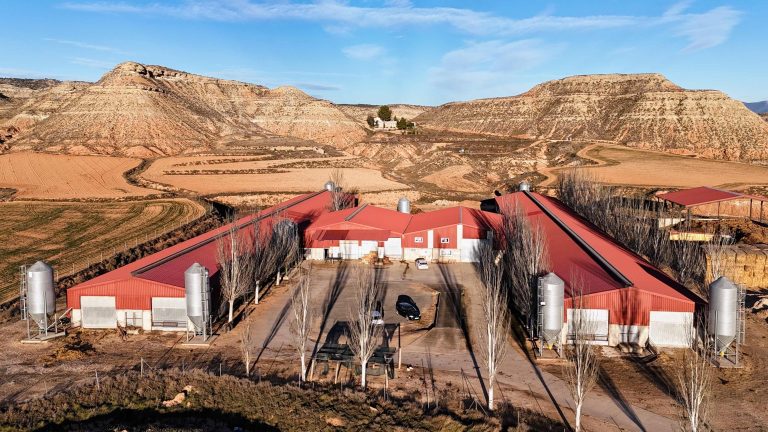 Oviaragón instalará un multiproyecto fotovoltaico con 12 ubicaciones en todo Aragón de la mano de y Tú
