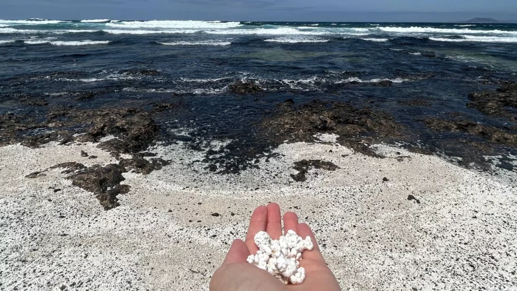 La playa española que imita a las palomitas: un destino único para Semana Santa 36 Moncloa Cuál es el origen de la 'playa de las palomitas', el sitio predilectos para muchos en Semana Santa