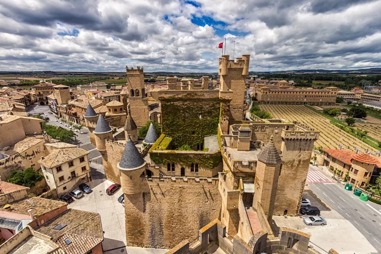 Como viajar a Borgoña sin salir de España: el pueblo navarro con vino y castillo incluido