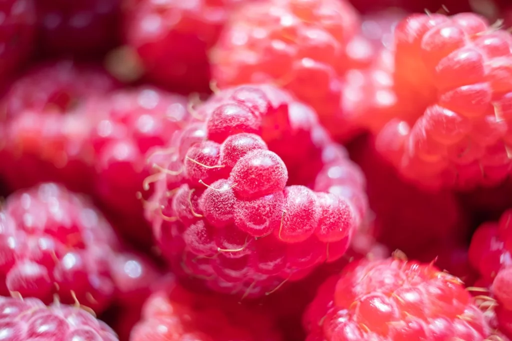 Más fibra que el kiwi y apenas la comemos: la fruta española que necesitas en tu dieta 19 Moncloa frambuesa freepik 4 Moncloa