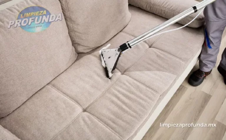 Guía Completa para la Limpieza y Mantenimiento de Muebles de Sala