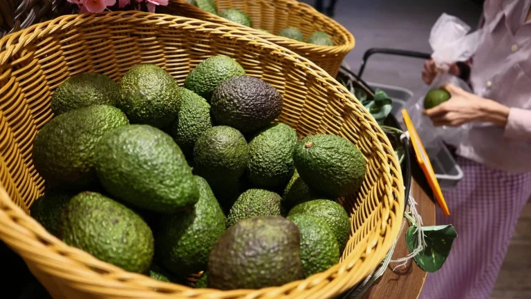 La máquina que te ayuda a elegir el aguacate perfecto llega a España
