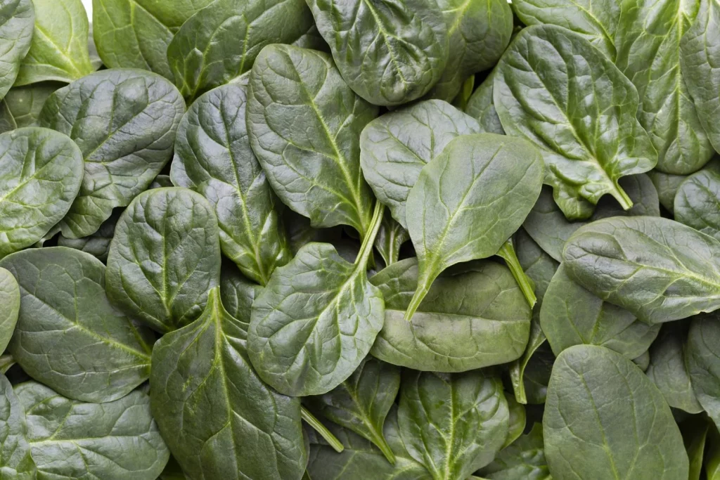 El alimento que nunca debes recalentar en el microondas o liberarás toxinas ocultas 13 Moncloa LAS ESPINACAS: UN SUPERALIMENTO QUE PUEDE VOLVERSE CONTRA TI