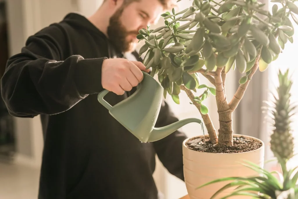 Mercadona tiene el 'fertilizante' secreto (y comestible) que hace explotar tus plantas de interior 9 Moncloa LAS PLANTAS QUE RESPONDEN MEJOR A ESTE FERTILIZANTE SECRETO