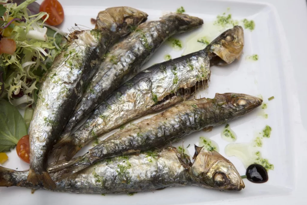 sardine fish with salad served plate Moncloa