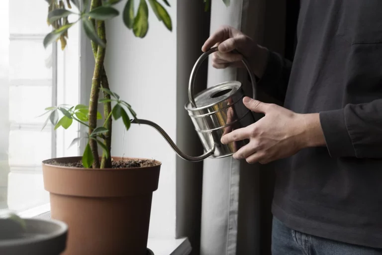 Mercadona tiene el ‘fertilizante’ secreto (y comestible) que hace explotar tus plantas de interior