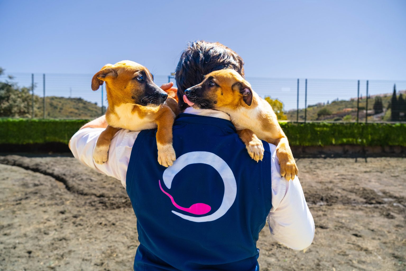 Hombre con perros clonados