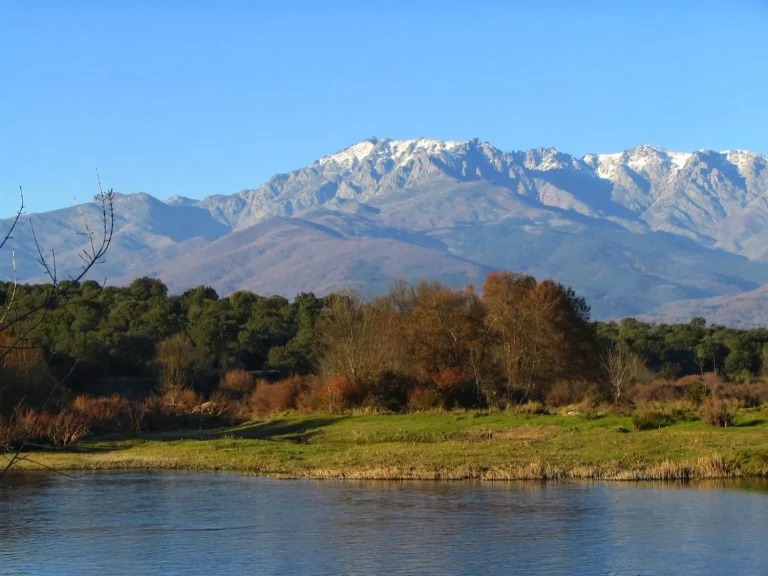 Los psicólogos lo recomiendan: el retiro digital en Gredos que está revolucionando la lucha contra el ‘burnout’