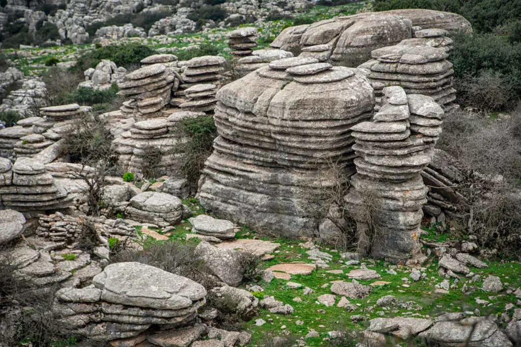 El paraje 'alienígena' de Málaga donde las rocas cobran vida y cambian de color al atardecer 19 Moncloa UN ECOSISTEMA ÚNICO DONDE CONVIVEN ESPECIES EXCLUSIVAS DE MÁLAGA