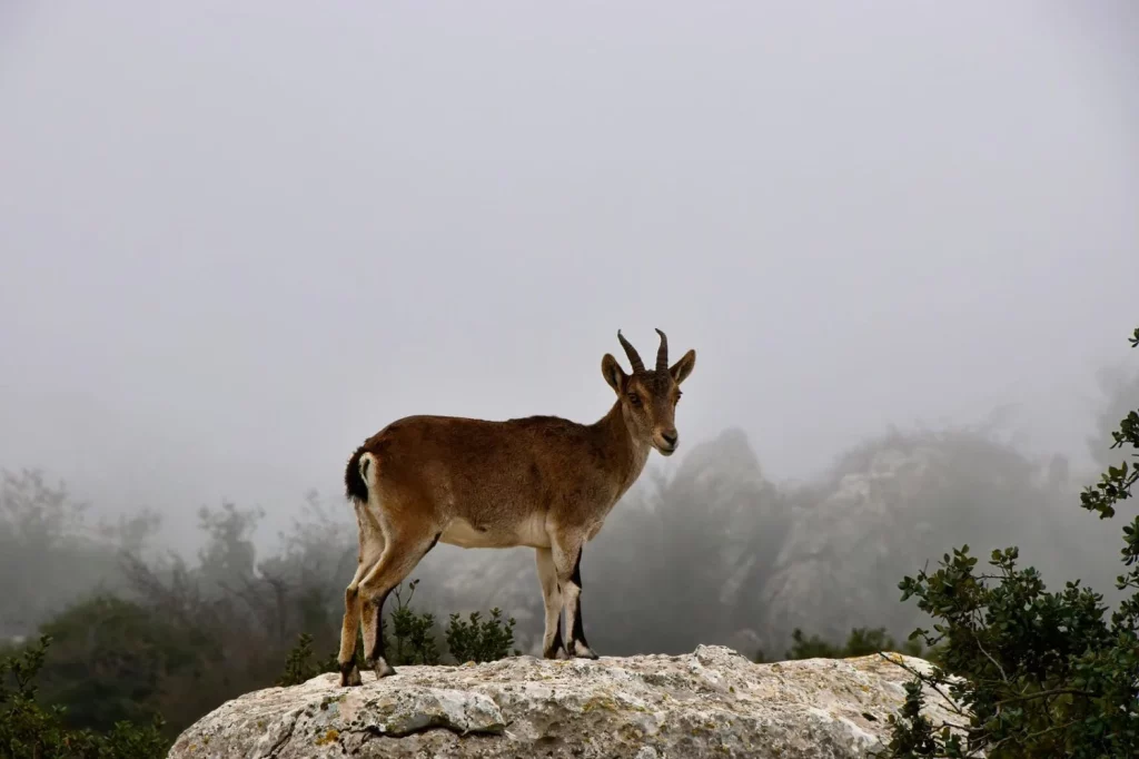 En este lugar la naturaleza asombra y las tradiciones perduran