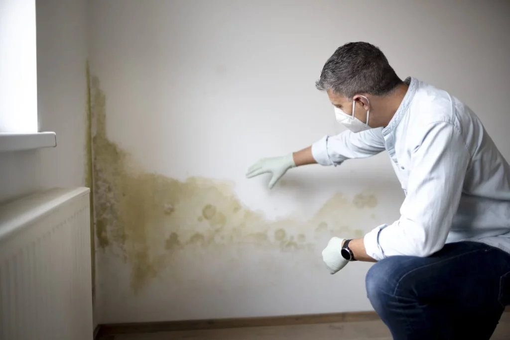 La OMS pide que revises esto en tu casa: Un peligro oculto que afecta a tus pulmones 14 Moncloa EL MOHO EN CASA: EL GRAN ENEMIGO RESPIRATORIO SEGÚN LA OMS