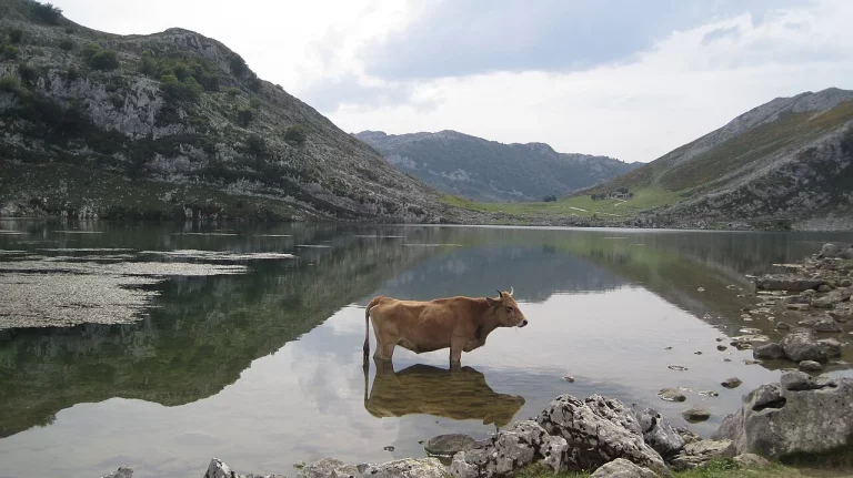 Descubre el pueblo de Asturias donde dicen que se come el mejor, y no es Oviedo ni Gijón
