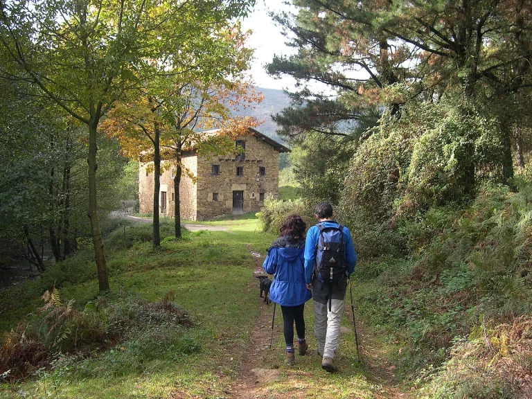¿Un bosque sacado de ‘El Señor de los Anillos’? Existe, es mágico y está en el País Vasco