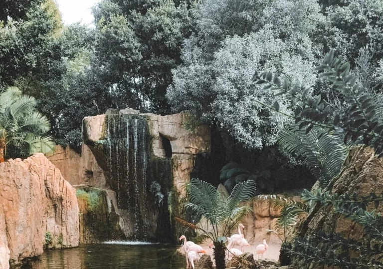 Valencia sorprende con este increíble lugar que tiene puentes colgantes y rutas entre cañones de vértigo