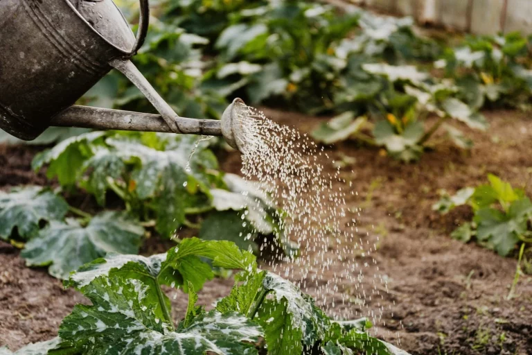 Amazon tiene el accesorio que salva tu jardín del calor por menos de 10 €