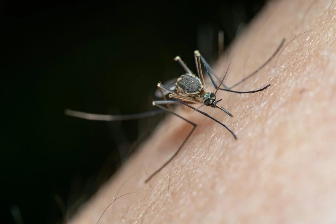 El ahuyentador de mosquitos que todos quieren tener