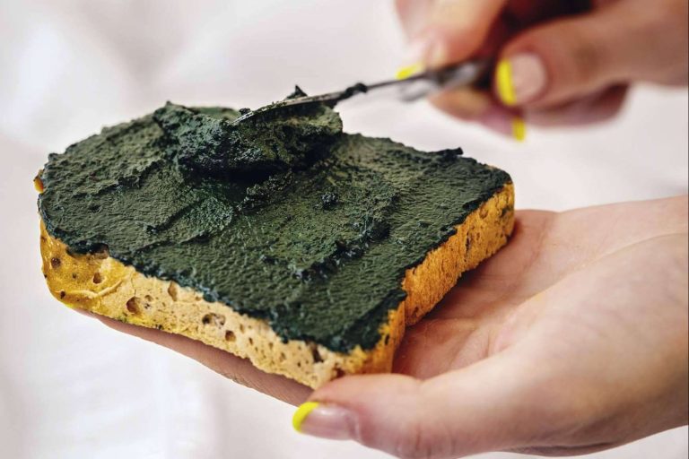 Blauver impulsa el consumo de espirulina en verano como fuente natural de vitalidad