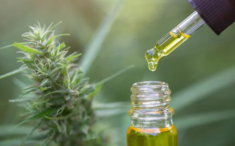 ¿Quién decide sobre el CBD?