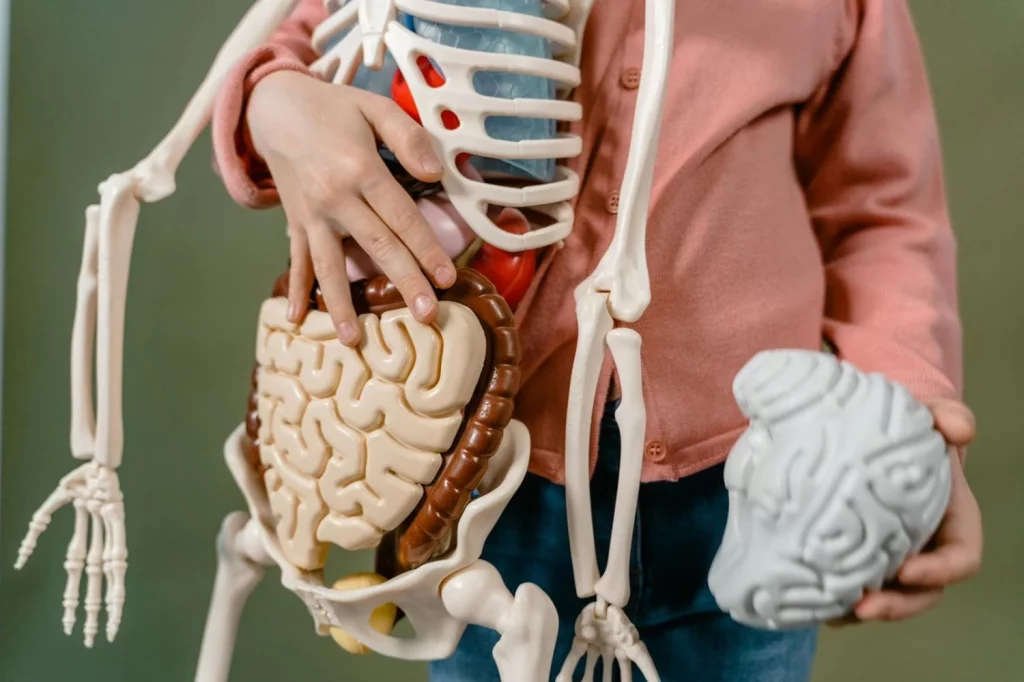 Lo que debes comer si quieres apoyar tu salud emocional desde dentro 15 Moncloa La salud emocional comienza en el intestino