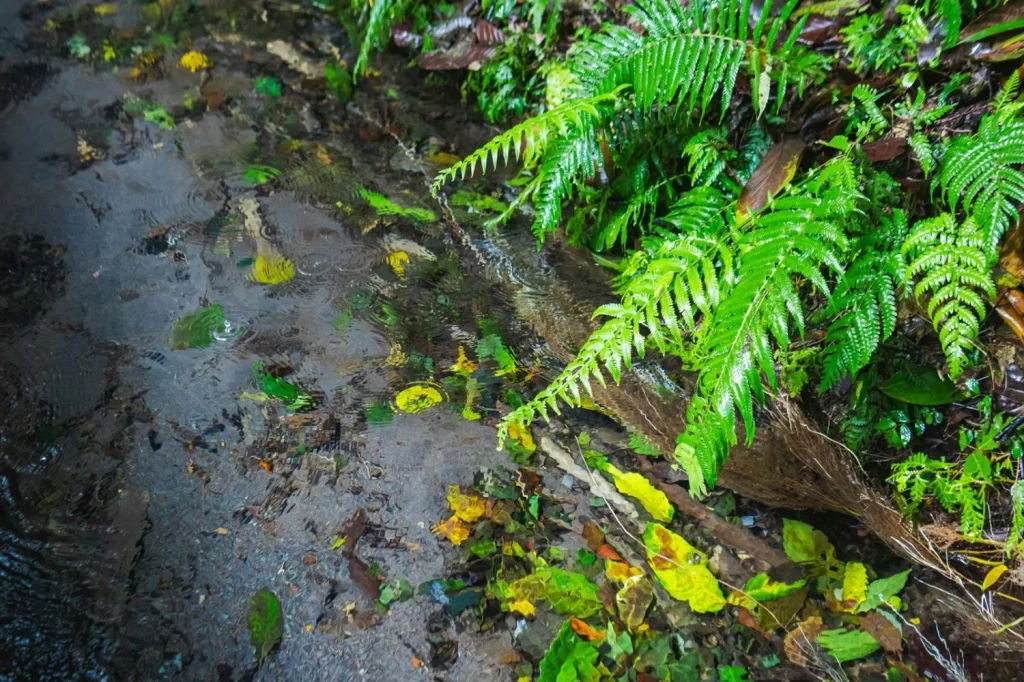 El pueblo escondido de Valencia con piscinas naturales que parece un balneario esculpido en la piedra 29 Moncloa Conoce el acceso a un edén natural perfectamente cuidado