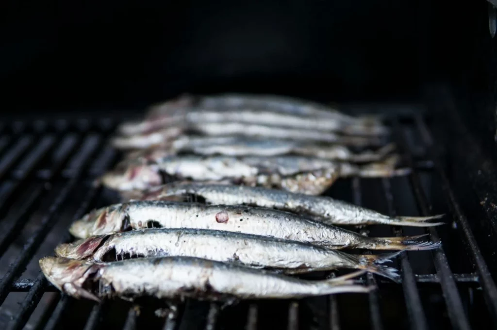 El poder del calcio biodisponible de las sardinas