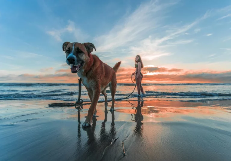 Así es como me libré de la arena en la playa: 5 trucos virales que funcionan de verdad