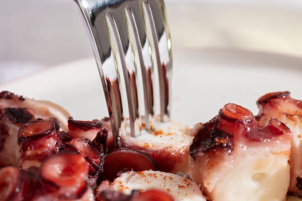 LA EXPERIENCIA SENSORIAL DEFINITIVA: POR QUÉ ESTE PULPO NO SE PARECE A NINGÚN OTRO